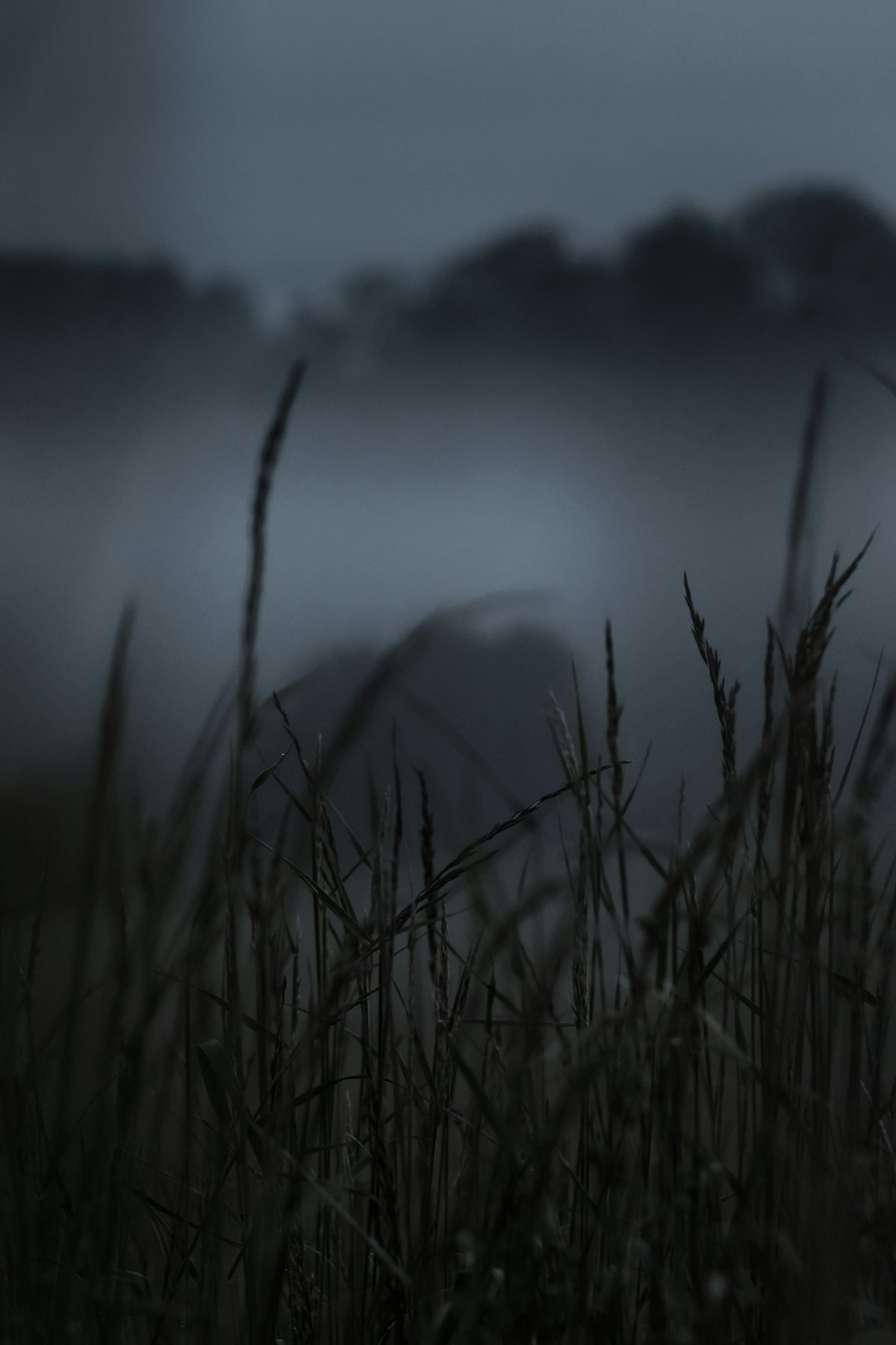 Misty dark landscape fading into fog